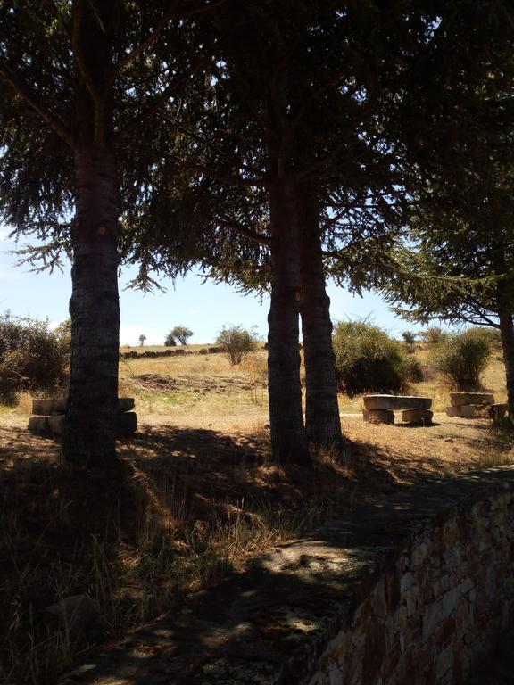 El Egio Guest House Cervera de Buitrago ภายนอก รูปภาพ